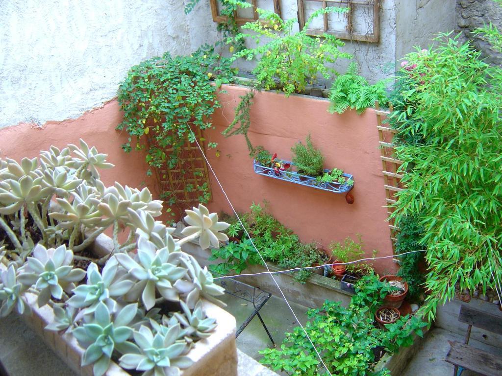 Belle De Nuit Bed & Breakfast Oppède Cameră foto